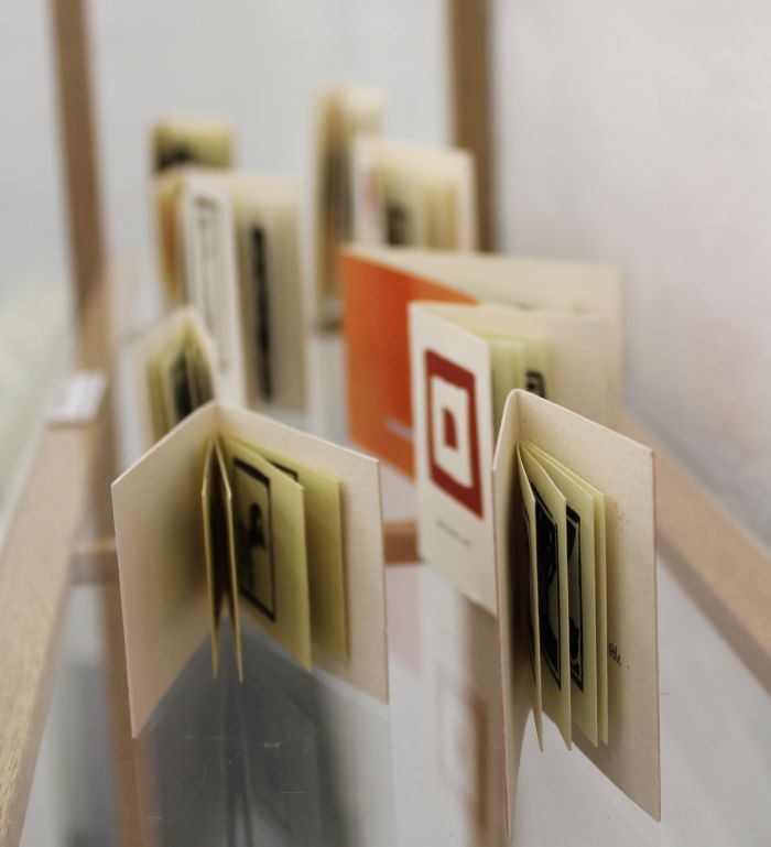 Click the image for a view of: Fiona Pole. Alphabet books installation view